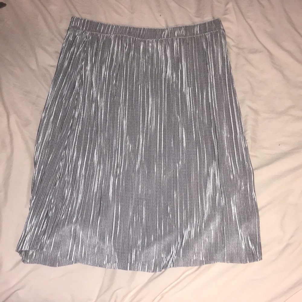 Silver Skirt